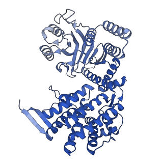 33349_7xoj_B_v1-0
Cryo-EM structure of GroEL bound to unfolded substrate (UGT1A) at 2.8 Ang. resolution (Consensus Refinement)