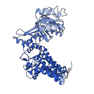 33349_7xoj_D_v1-0
Cryo-EM structure of GroEL bound to unfolded substrate (UGT1A) at 2.8 Ang. resolution (Consensus Refinement)