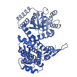 33349_7xoj_F_v1-0
Cryo-EM structure of GroEL bound to unfolded substrate (UGT1A) at 2.8 Ang. resolution (Consensus Refinement)