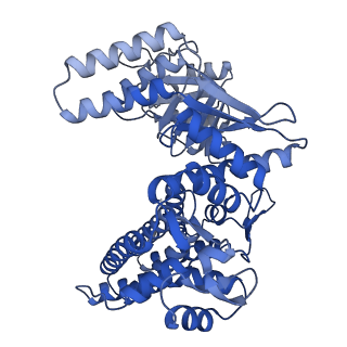 33349_7xoj_G_v1-0
Cryo-EM structure of GroEL bound to unfolded substrate (UGT1A) at 2.8 Ang. resolution (Consensus Refinement)