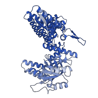 33349_7xoj_I_v1-0
Cryo-EM structure of GroEL bound to unfolded substrate (UGT1A) at 2.8 Ang. resolution (Consensus Refinement)