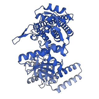 33349_7xoj_L_v1-0
Cryo-EM structure of GroEL bound to unfolded substrate (UGT1A) at 2.8 Ang. resolution (Consensus Refinement)