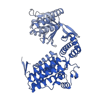 33350_7xok_A_v1-0
Cryo-EM structure of double occupied ring (DOR) of GroEL-UGT1A complex at 2.7 Ang. resolution