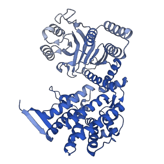 33350_7xok_B_v1-0
Cryo-EM structure of double occupied ring (DOR) of GroEL-UGT1A complex at 2.7 Ang. resolution