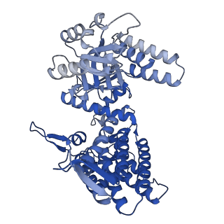 33350_7xok_C_v1-0
Cryo-EM structure of double occupied ring (DOR) of GroEL-UGT1A complex at 2.7 Ang. resolution