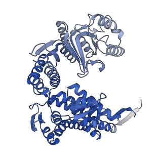 33350_7xok_E_v1-0
Cryo-EM structure of double occupied ring (DOR) of GroEL-UGT1A complex at 2.7 Ang. resolution