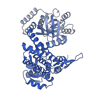 33350_7xok_F_v1-0
Cryo-EM structure of double occupied ring (DOR) of GroEL-UGT1A complex at 2.7 Ang. resolution