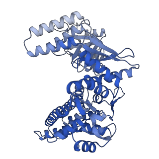 33350_7xok_G_v1-0
Cryo-EM structure of double occupied ring (DOR) of GroEL-UGT1A complex at 2.7 Ang. resolution