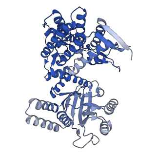 33350_7xok_H_v1-0
Cryo-EM structure of double occupied ring (DOR) of GroEL-UGT1A complex at 2.7 Ang. resolution