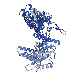 33350_7xok_I_v1-0
Cryo-EM structure of double occupied ring (DOR) of GroEL-UGT1A complex at 2.7 Ang. resolution