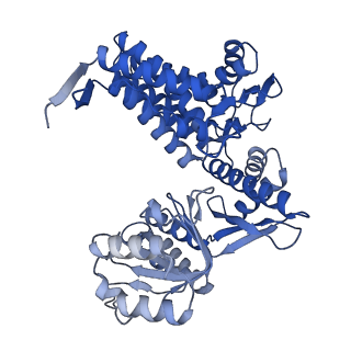 33350_7xok_J_v1-0
Cryo-EM structure of double occupied ring (DOR) of GroEL-UGT1A complex at 2.7 Ang. resolution