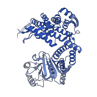 33350_7xok_K_v1-0
Cryo-EM structure of double occupied ring (DOR) of GroEL-UGT1A complex at 2.7 Ang. resolution