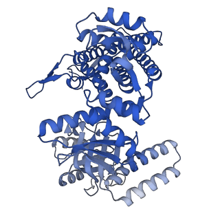 33350_7xok_L_v1-0
Cryo-EM structure of double occupied ring (DOR) of GroEL-UGT1A complex at 2.7 Ang. resolution