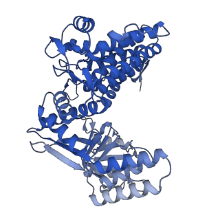 33350_7xok_M_v1-0
Cryo-EM structure of double occupied ring (DOR) of GroEL-UGT1A complex at 2.7 Ang. resolution