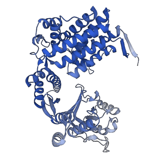 33350_7xok_N_v1-0
Cryo-EM structure of double occupied ring (DOR) of GroEL-UGT1A complex at 2.7 Ang. resolution