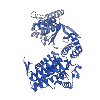 33351_7xol_A_v1-0
Cryo-EM structure of single empty ring 2 (SER2) of GroEL-UGT1A complex at 3.2 Ang. resolution