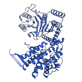 33351_7xol_B_v1-0
Cryo-EM structure of single empty ring 2 (SER2) of GroEL-UGT1A complex at 3.2 Ang. resolution