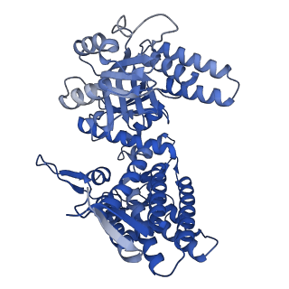 33351_7xol_C_v1-0
Cryo-EM structure of single empty ring 2 (SER2) of GroEL-UGT1A complex at 3.2 Ang. resolution