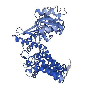 33351_7xol_D_v1-0
Cryo-EM structure of single empty ring 2 (SER2) of GroEL-UGT1A complex at 3.2 Ang. resolution