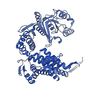 33351_7xol_E_v1-0
Cryo-EM structure of single empty ring 2 (SER2) of GroEL-UGT1A complex at 3.2 Ang. resolution