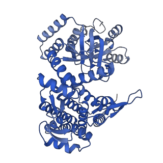 33351_7xol_F_v1-0
Cryo-EM structure of single empty ring 2 (SER2) of GroEL-UGT1A complex at 3.2 Ang. resolution