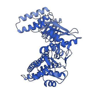 33351_7xol_G_v1-0
Cryo-EM structure of single empty ring 2 (SER2) of GroEL-UGT1A complex at 3.2 Ang. resolution