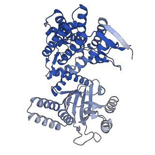 33351_7xol_H_v1-0
Cryo-EM structure of single empty ring 2 (SER2) of GroEL-UGT1A complex at 3.2 Ang. resolution