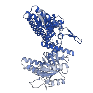 33351_7xol_I_v1-0
Cryo-EM structure of single empty ring 2 (SER2) of GroEL-UGT1A complex at 3.2 Ang. resolution
