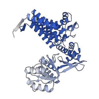 33351_7xol_J_v1-0
Cryo-EM structure of single empty ring 2 (SER2) of GroEL-UGT1A complex at 3.2 Ang. resolution