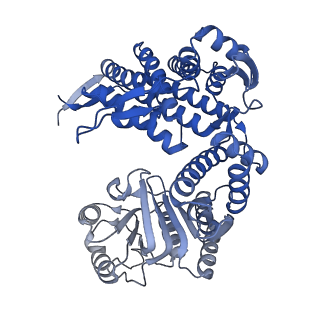 33351_7xol_K_v1-0
Cryo-EM structure of single empty ring 2 (SER2) of GroEL-UGT1A complex at 3.2 Ang. resolution
