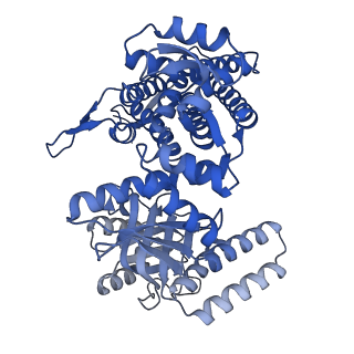 33351_7xol_L_v1-0
Cryo-EM structure of single empty ring 2 (SER2) of GroEL-UGT1A complex at 3.2 Ang. resolution
