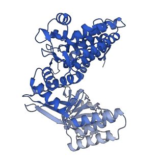 33351_7xol_M_v1-0
Cryo-EM structure of single empty ring 2 (SER2) of GroEL-UGT1A complex at 3.2 Ang. resolution