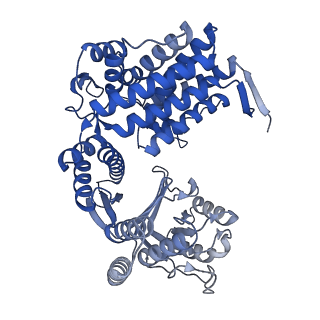 33351_7xol_N_v1-0
Cryo-EM structure of single empty ring 2 (SER2) of GroEL-UGT1A complex at 3.2 Ang. resolution
