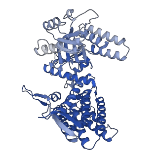 33352_7xom_C_v1-0
Cryo-EM structure of occupied ring subunit 4 (OR4) of GroEL complexed with polyalanine model of UGT1A from GroEL-UGT1A double occupied ring complex