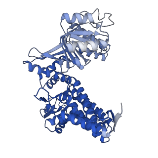 33352_7xom_D_v1-0
Cryo-EM structure of occupied ring subunit 4 (OR4) of GroEL complexed with polyalanine model of UGT1A from GroEL-UGT1A double occupied ring complex