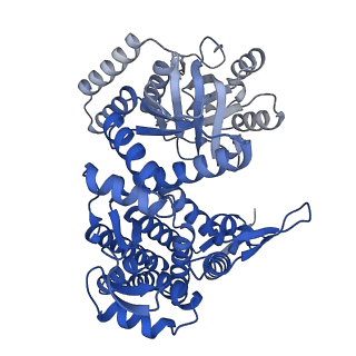 33352_7xom_F_v1-0
Cryo-EM structure of occupied ring subunit 4 (OR4) of GroEL complexed with polyalanine model of UGT1A from GroEL-UGT1A double occupied ring complex