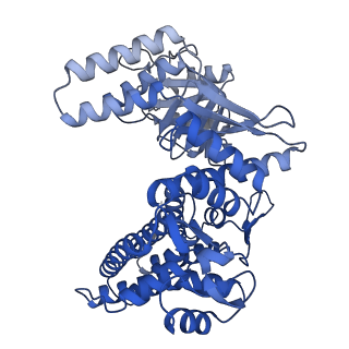33352_7xom_G_v1-0
Cryo-EM structure of occupied ring subunit 4 (OR4) of GroEL complexed with polyalanine model of UGT1A from GroEL-UGT1A double occupied ring complex