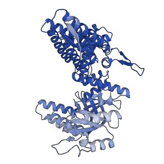 33352_7xom_I_v1-0
Cryo-EM structure of occupied ring subunit 4 (OR4) of GroEL complexed with polyalanine model of UGT1A from GroEL-UGT1A double occupied ring complex