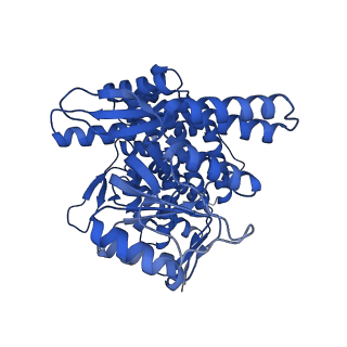 33354_7xoo_B_v1-0
Cryo-EM structure of empty ring subunit 2 (ER2) from GroEL-UGT1A single empty ring complex