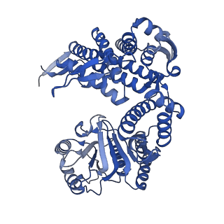 33356_7xoq_K_v1-0
Cryo-EM structure of occupied ring subunit 2 (OR2) of GroEL from GroEL-UGT1A double occupied ring complex
