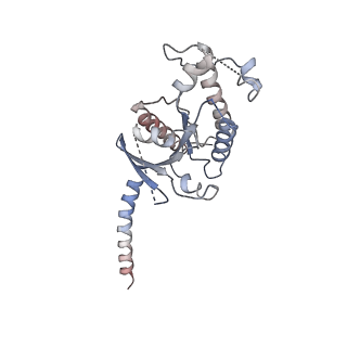 33359_7xou_A_v1-0
Structural insights into human brain gut peptide cholecystokinin receptors