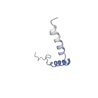 33359_7xou_G_v1-0
Structural insights into human brain gut peptide cholecystokinin receptors