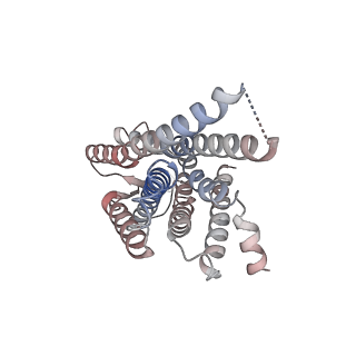 33359_7xou_R_v1-0
Structural insights into human brain gut peptide cholecystokinin receptors