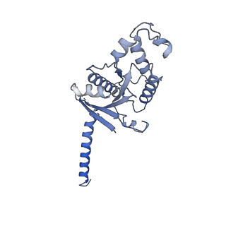 33361_7xow_A_v1-0
Structural insights into human brain gut peptide cholecystokinin receptors