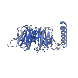 33361_7xow_B_v1-0
Structural insights into human brain gut peptide cholecystokinin receptors