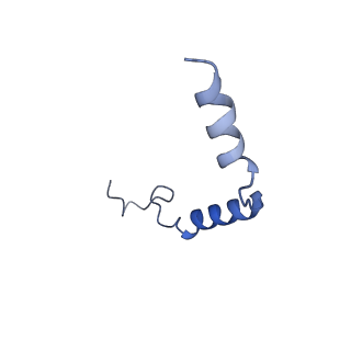 33361_7xow_C_v1-0
Structural insights into human brain gut peptide cholecystokinin receptors