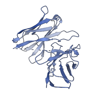33361_7xow_E_v1-0
Structural insights into human brain gut peptide cholecystokinin receptors