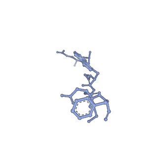 33361_7xow_L_v1-0
Structural insights into human brain gut peptide cholecystokinin receptors