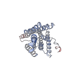 33361_7xow_R_v1-0
Structural insights into human brain gut peptide cholecystokinin receptors