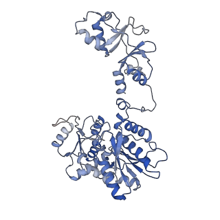 33363_7xoy_A_v1-1
Cystathionine beta-synthase of Mycobacterium tuberculosis in the presence of S-adenosylmethionine and serine.
